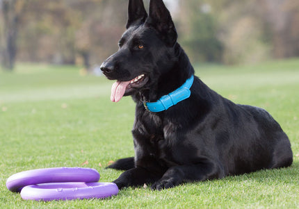 Puller Standard Training Rings 28cm – Durable Interactive Toy Set, 2 Pieces