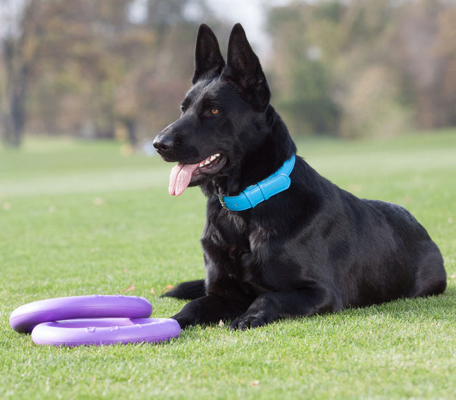 Puller Standard Training Rings 28cm – Durable Interactive Toy Set, 2 Pieces