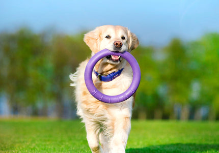 Puller Standard Training Rings 28cm – Durable Interactive Toy Set, 2 Pieces