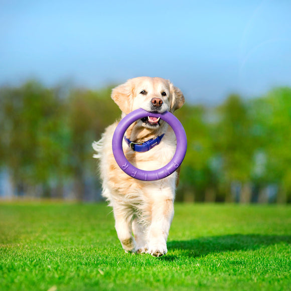 Puller Standard Training Rings 28cm – Durable Interactive Toy Set, 2 Pieces