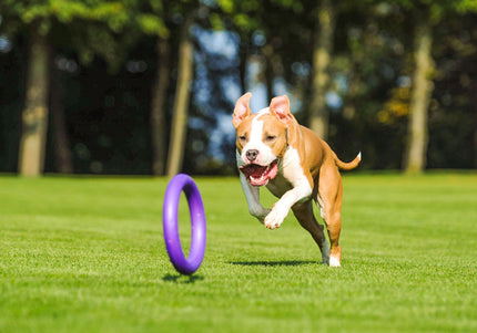 Puller Standard Training Rings 28cm – Durable Interactive Toy Set, 2 Pieces