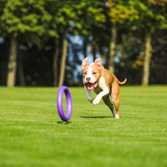 Puller Standard Training Rings 28cm – Durable Interactive Toy Set, 2 Pieces