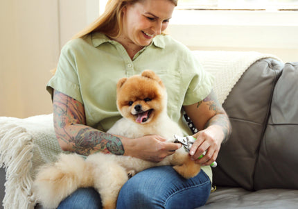 Andis Small Nail Clipper – Precision Stainless Steel Blades, Ergonomic Grip, Compact Size