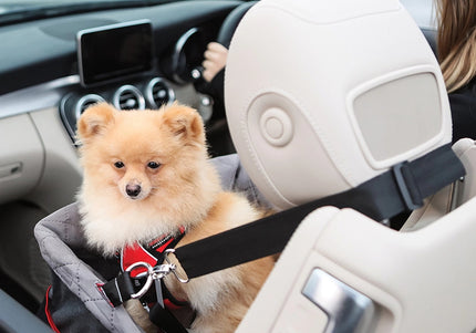 KONG Travel Secure Booster Seat – Elevated Car Seat, 40x30x20cm, Holds Up to 12kg