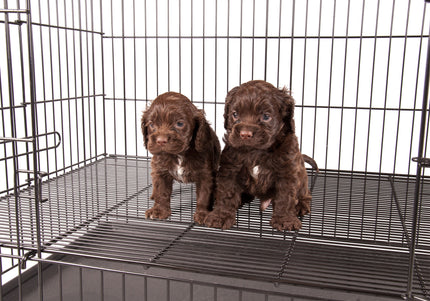 Show Tech Puppy Play Pen Medium 92x92x81cm – Adjustable Double-Bottom Cage, Secure and Spacious Design