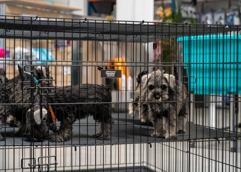 Show Tech Puppy Play Pen Large 122x122x81cm – Adjustable Double-Bottom Cage, Spacious Secure Design