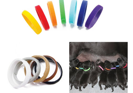 Doogy Colorful Identification Collars – Adjustable Soft Puppy Bands, 12 Piece Set