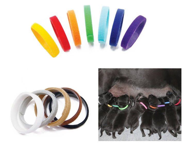 Doogy Colorful Identification Collars – Adjustable Soft Puppy Bands, 12 Piece Set