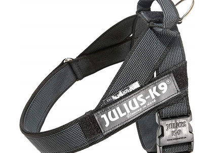 Julius-K9 IDC Color&Gray Belt Harness – Adjustable Black Mini Harness with Durable Webbing
