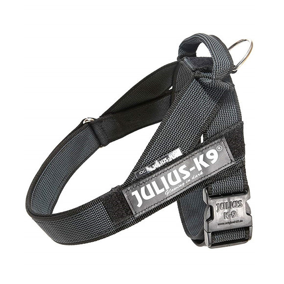 Julius-K9 IDC Color&Gray Belt Harness – Adjustable Black Mini Harness with Durable Webbing