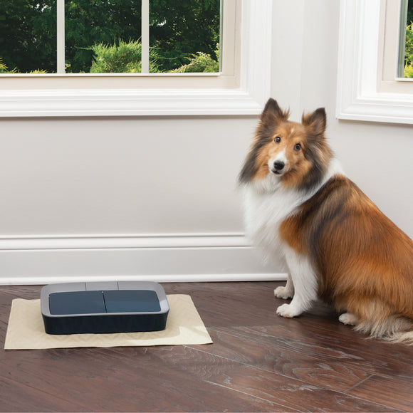 PetSafe Digital 2 Meal Feeder – Dual-Chamber Food Dispenser with LCD Display, Timed Meals