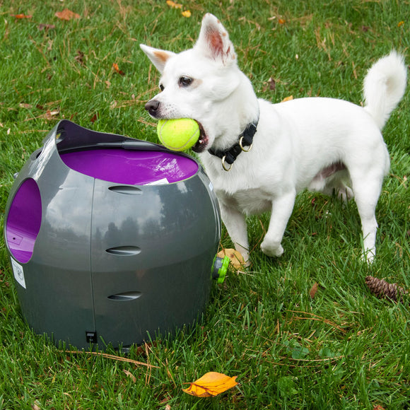 PetSafe Automatic Ball Launcher – Motion Sensor, Interactive Play Device for Pets