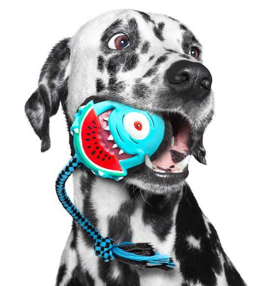 Max&Molly Bubba King Monster Dog Toy – 33cm Multifunctional Squeaker Design