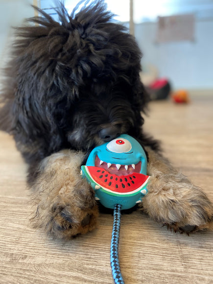 Max&Molly Bubba King Monster Dog Toy – 33cm Multifunctional Squeaker Design