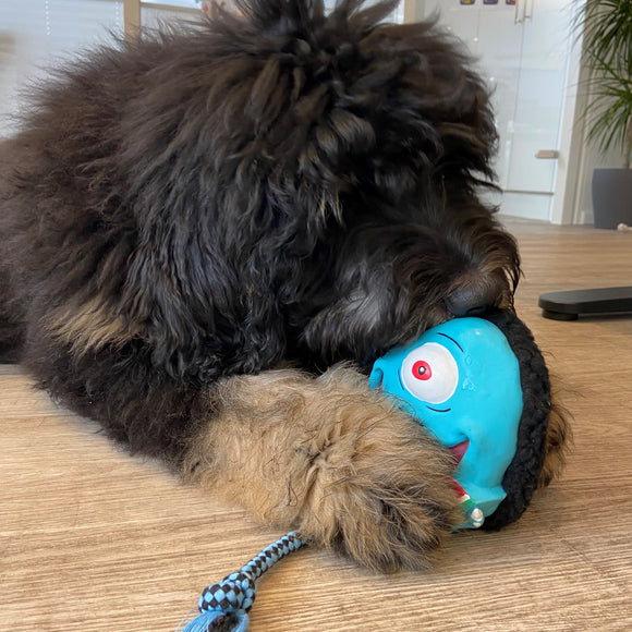 Max&Molly Bubba King Monster Dog Toy – 33cm Multifunctional Squeaker Design