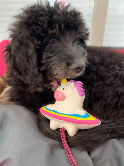 Max&Molly Magic Mikey Unicorn Dog Toy – Multifunctional 32cm Plush with Squeaker