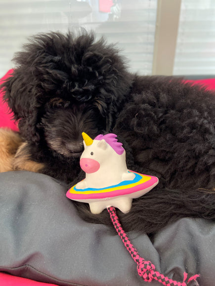 Max&Molly Magic Mikey Unicorn Dog Toy – Multifunctional 32cm Plush with Squeaker