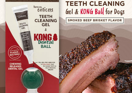 TropiClean Enticers KONG Dental Ball Set – Dog Teeth Cleaning Gel with Small KONG Ball