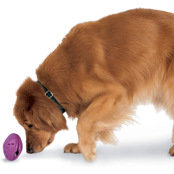 PetSafe Busy Buddy Twist'n Treat Dog Chew Toy – Large Adjustable Treat Dispenser, Durable Design