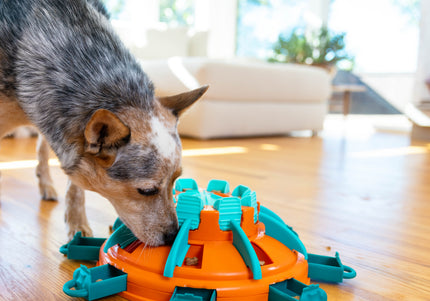 Nina Ottosson Tower of Treats Level 4 – Interactive Dog Puzzle Game, Advanced Educational Toy