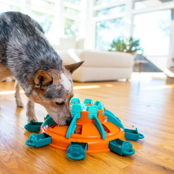 Nina Ottosson Tower of Treats Level 4 – Interactive Dog Puzzle Game, Advanced Educational Toy