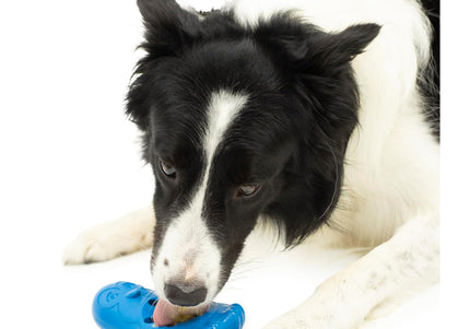 PetSafe Busy Buddy Chilly Penguin Frozen Treat Chew Toy – Durable Penguin Design, Medium/Large