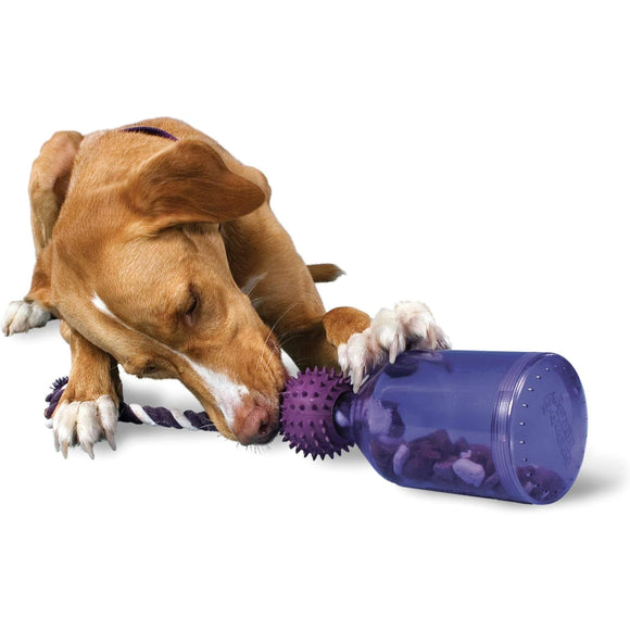 PetSafe Busy Buddy Tug-A-Jug Treat Toy – Extra Small Durable Interactive Bottle