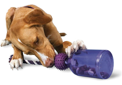 PetSafe Busy Buddy Tug-A-Jug Treat Toy – Extra Small Durable Interactive Bottle