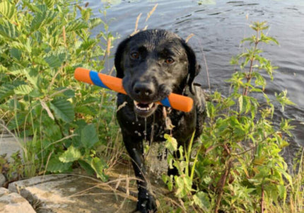 Chuckit! Ultra Fetch Stick 28cm – Durable Rubber Toy with High-Visibility Design