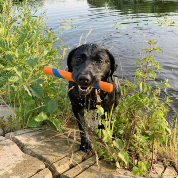 Chuckit! Ultra Fetch Stick 28cm – Durable Rubber Toy with High-Visibility Design