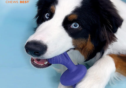 Nylabone Power Chew Rolling Bone – Hard Bacon-Scented Chew Toy, Durable Design