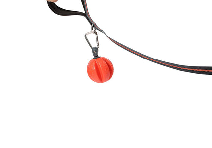 Dexas Off-Leash Floating Ball – Durable Water Toy with Carabiner Attachment, High-Visibility Design