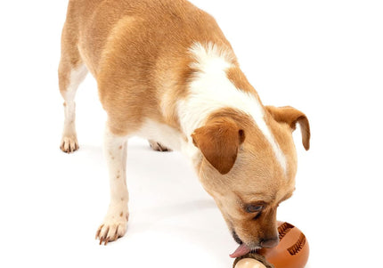 PetSafe Busy Buddy Chompin' Chicken Dog Chew Toy – Chicken Leg Shape, Small/Medium, Durable Design