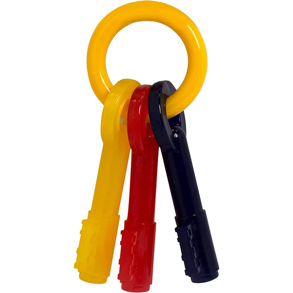 Nylabone Puppy Chew Keys – Bacon-Scented Durable Teething Toy, Medium Size Key Shape