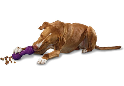 PetSafe Busy Buddy Chuckle Dumbbell Chew Toy – Durable Interactive Design, Entertaining Shape