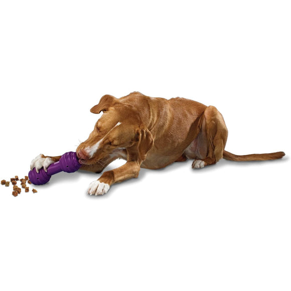 PetSafe Busy Buddy Chuckle Dumbbell Chew Toy – Durable Interactive Design, Entertaining Shape