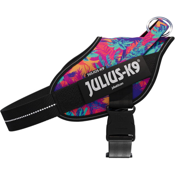 Julius-K9 Power & More Harness Vibe – Adaptive Leash Ring, Palm Tree Pattern, XS Size