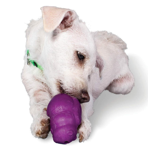 PetSafe Busy Buddy Squirrel Dude – Durable Dog Treat Chew Toy, Small Size, Engaging Design