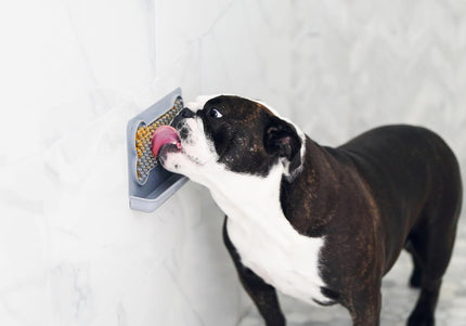 Dexas Snack & Distract Silicone Licking Mat with Pocket – Horizontal Blue, Calming Design