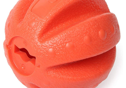 Dexas Off-Leash Floating Ball – Durable Water Toy with Carabiner Attachment, High-Visibility Design