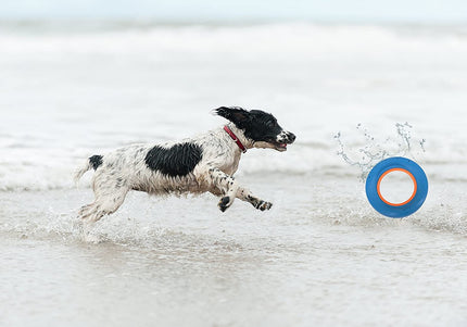 Chuckit! Hydro Roller 24cm – Floating Water Ring Toy, Durable Design for Active Play