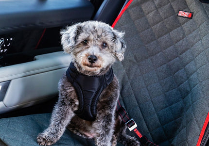 KONG Travel Single Seat Cover – Waterproof Car Protector with Non-Slip Backing, Durable Design