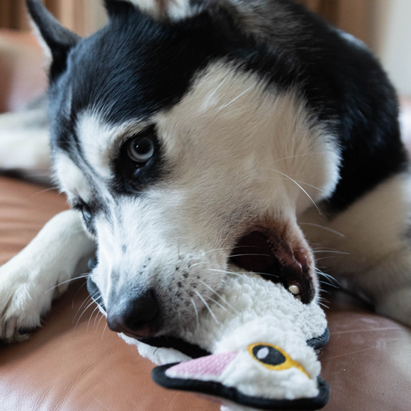 Resploot Tuffles Penguin Dog Toy – Durable Recycled Material with Squeaker