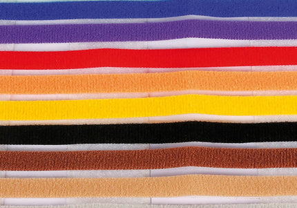 Record ID Puppy Identification Collars – Colorful Adjustable Velcro Set, 12 Pieces