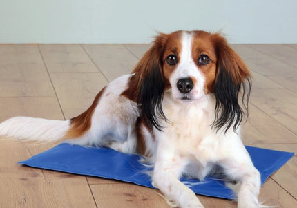 Trixie Cooling Mat – Durable Gel-Filled Pad, Portable Comfort for Hot Weather