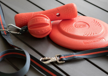 Dexas Off-Leash Dog Leash 2.5x180cm – Anti-Slip Stitching, Durable Nylon Design