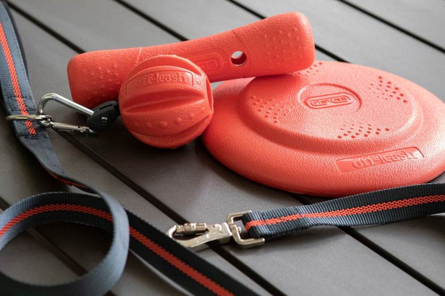 Dexas Off-Leash Dog Leash 2.5x180cm – Anti-Slip Stitching, Durable Nylon Design