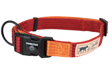 Hamilton Go Boldly Adjustable Collar Size L – Durable Nylon, Brown, Secure Fit for Medium and Large Dogs
