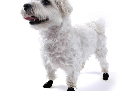 PAWZ Rubber Dog Boots – Black, Medium Size, 12 Pack, Durable Waterproof Protection