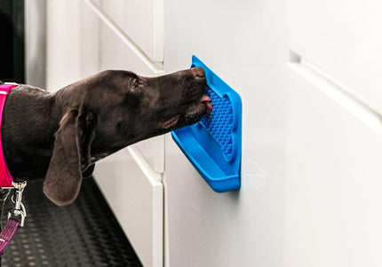 Dexas Snack & Distract Silicone Licking Mat with Pocket – Horizontal Blue, Calming Design